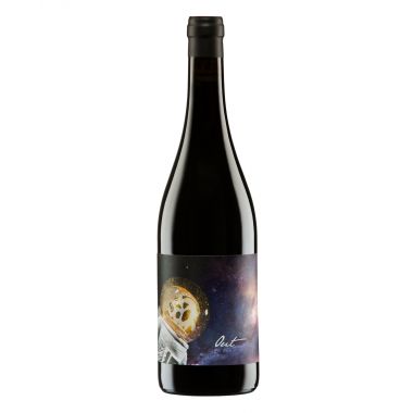Burgenland 'OUT' 2021 Beck
