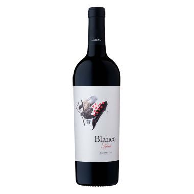 Navarra 'Blaneo' 2022 Pagos de Araiz