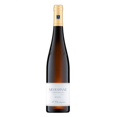Pfalz Riesling GG 'Meerspinne' 2022 Christmann