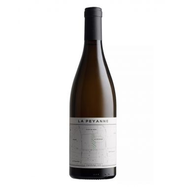 Saumur Blanc 'La Peyanne' 2023 Domaine Théo Blet