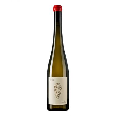 Wachau Riesling Amphora 2022 Domäne Wachau