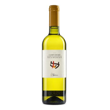 Campi Flegrei Falanghina 2024 La Sibilla