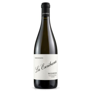 Vino de Pasto 'La Escribana' 2024 Luis Pérez